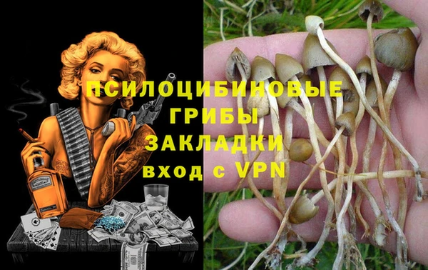 прущий лед Абдулино