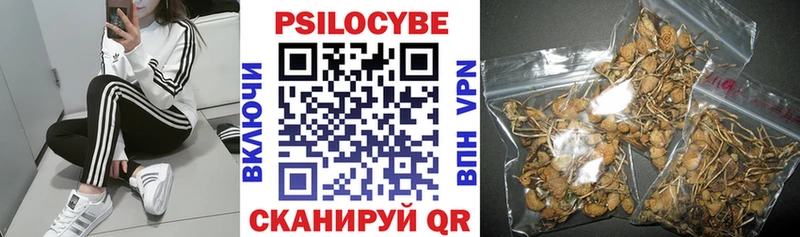 наркота  Харабали  Галлюциногенные грибы Cubensis 